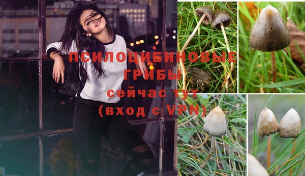 меф Иннополис