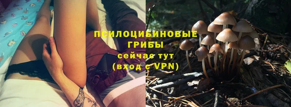 метадон Инта