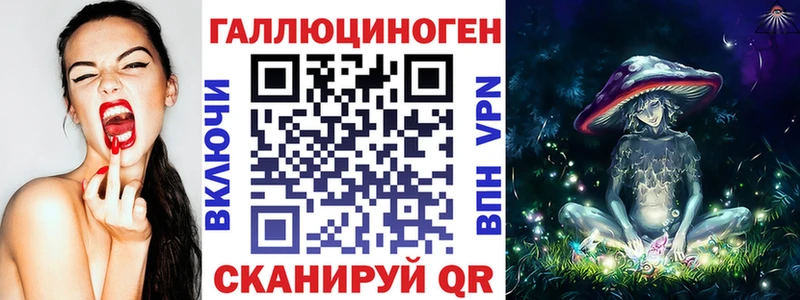 купить наркотики сайты  Мегион  Псилоцибиновые грибы Psilocybe 